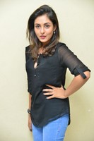 Madhu Shalini Stills at Goodachari Success Meet